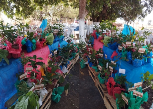 Um Caminho de Esperan&ccedil;a e Alegria