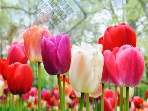 Nossa gratid&atilde;o as Irm&atilde;s Ec&ocirc;nomas