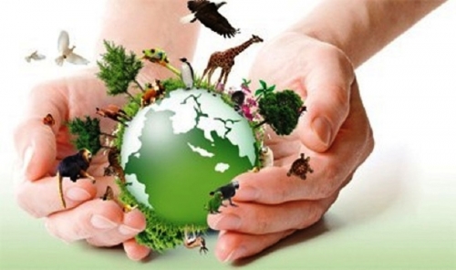 Dia do Meio Ambiente - Profecia da Terra