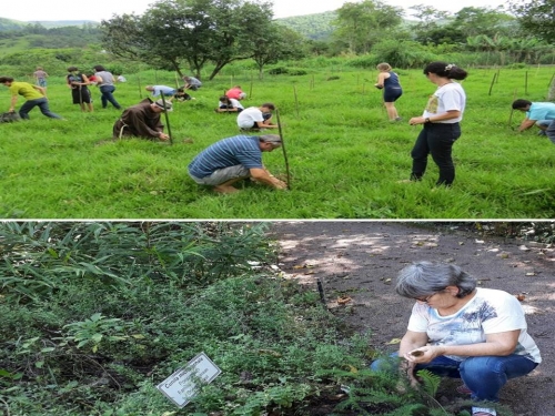 Somos Guardi&atilde;s da Cria&ccedil;&atilde;o!