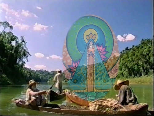 Aparecida: M&atilde;e Negra que Deus deu ao Brasil