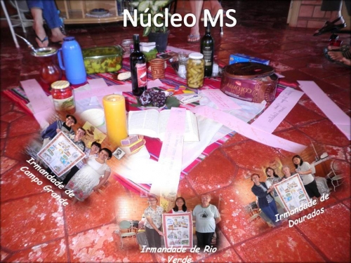 Encontro do N&uacute;cleo Am&aacute;bile Avosani / MS