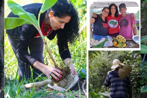 Agricultura &eacute; uma chave para o desenvolvimento humano