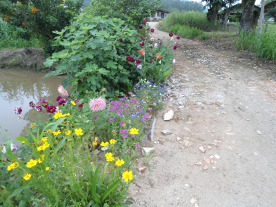 56 anos de Hist&oacute;ria, Vida e Miss&atilde;o