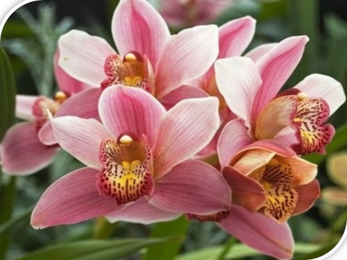 &Eacute; dia da Secret&aacute;ria!