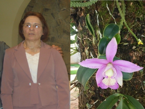 P&aacute;scoa de irm&atilde; In&ecirc;s Mezalira