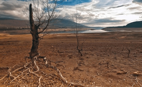 Florestas e &Aacute;guas