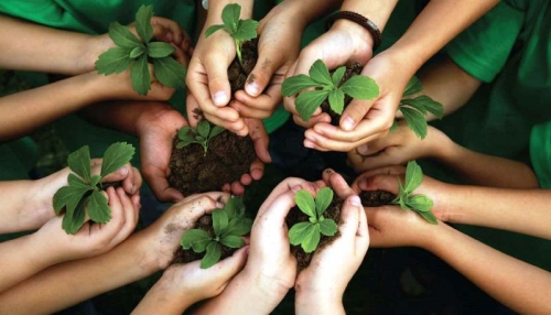 Semana do Meio Ambiente