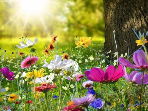 Chegou a Primavera!!!